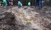 Всероссийский День посадки леса